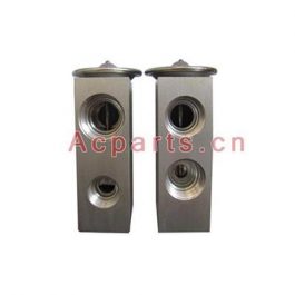 ACTECmax OEM 4205085 Air Conditioning Expansion Valve