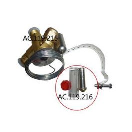 AC.119.216