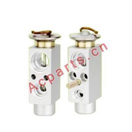 AC.119.300
